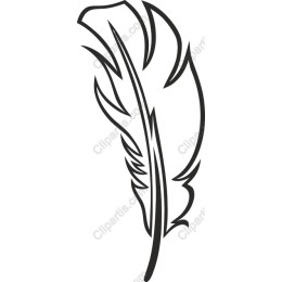 Elegant Feather