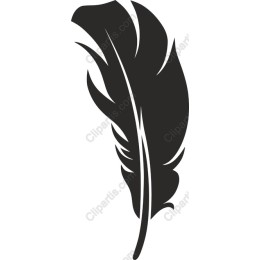 Elegant Feather