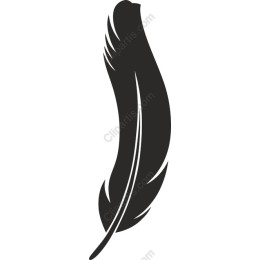 Elegant Feather