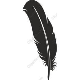 Black Feather