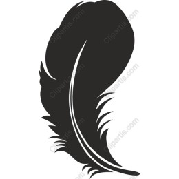 Elegant Feather