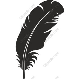 Elegant Black Feather
