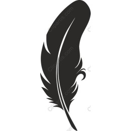 Elegant Black Feather