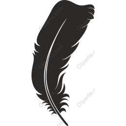 Elegant Feather