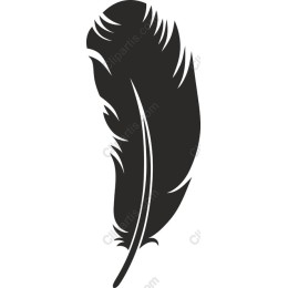 Elegant Feather in and
