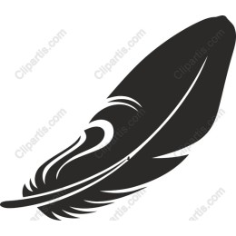 Elegant Feather