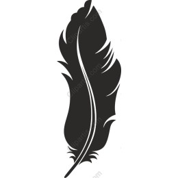 Elegant Feather