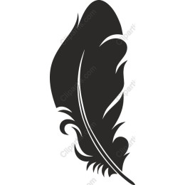 Elegant Black Feather
