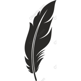 Elegant Black Feather