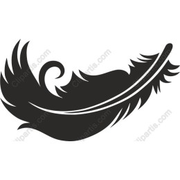 Elegant Feather