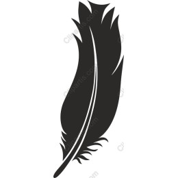 Elegant Feather