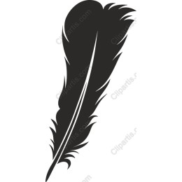 Feather