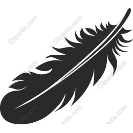 Elegant Feather