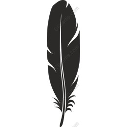 Elegant Feather