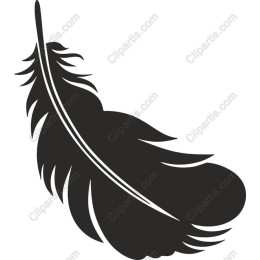 Elegant Feather