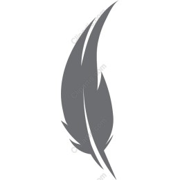 Elegant Feather