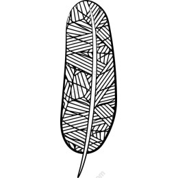 Intricate Feather