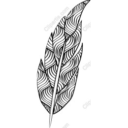 Intricate Feather