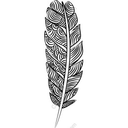 Elegant Intricate Feather