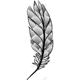 Black and White Feathery Leaf