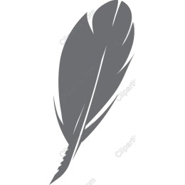 Elegant Feather