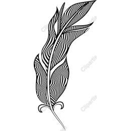 Stylized Feather