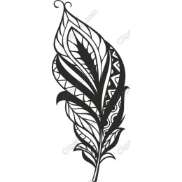 Artistic Feather Clipart