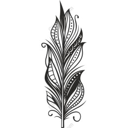 Elegant Feather