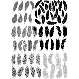  Feather Clipart Bundle
