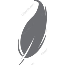 Elegant Gray Feather