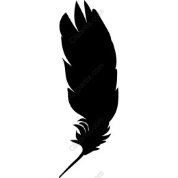 Elegant Feather