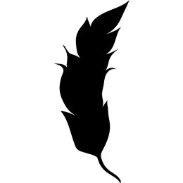 Elegant Feather