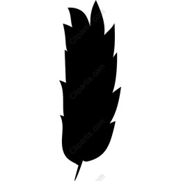 Elegant Black Feather