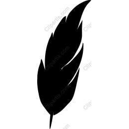 Black Feather