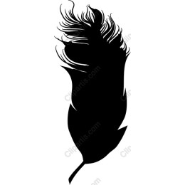 Elegant Black Feather