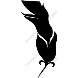 Elegant Feather