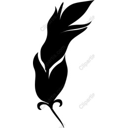 Stylized Feather