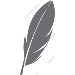 Elegant Feather