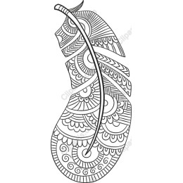 Elegant Intricate Feather