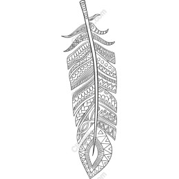 Intricate Feather
