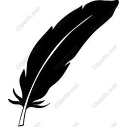 Elegant Black Feather