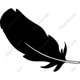 Black Feather