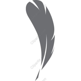 Elegant Feather