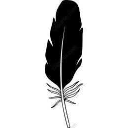 Black Feather