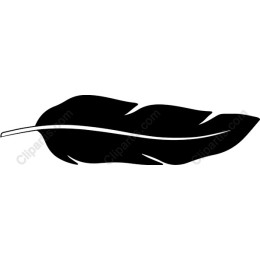 Black Feather