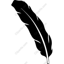 Elegant Feather