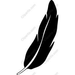 Elegant Black Feather