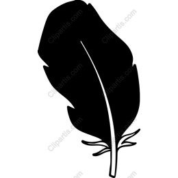 Elegant Black Feather