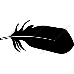 Elegant Feather