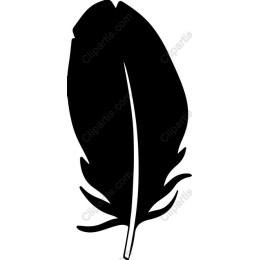 Elegant Black Feather
